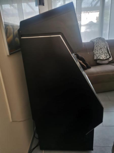 Make My Music Dt. Wurlitzer SL900