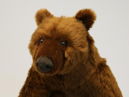 Brown Bear, sitting, limited edition 