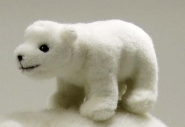 Polar Bear Baby 