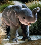 Elefantenbaby "Tembo", stehend 