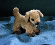 Dog, Miniature 