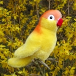 Lovebird, yellow 