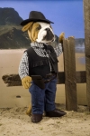 Sheriff "Bulldogg" 