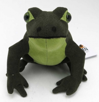 Frog "Heinrich" 