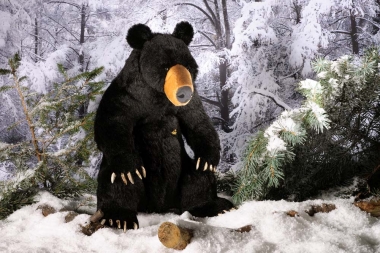 Black Bear "Baribal", Gold-Collection 