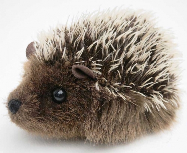 Hedgehog "Stachel" 