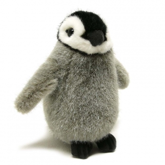 Emperor Penguin, chick 