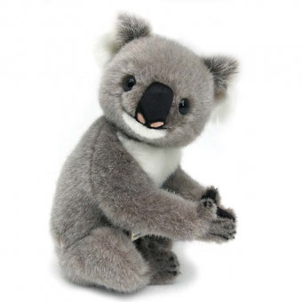 Koala, large 