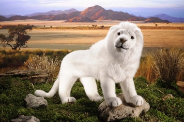 Lion, white 