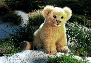 Lion cub "Uzuri" 