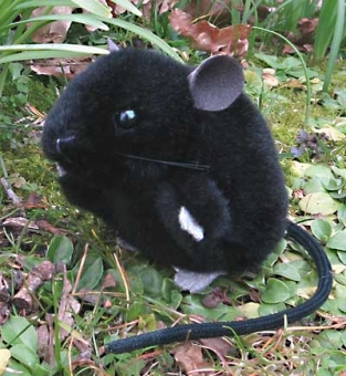Mouse, black 