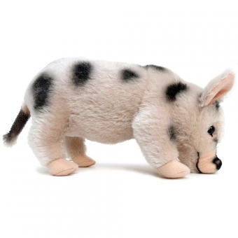 Micro Pig, with black spots 