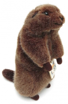 Baby Marmot "Wuseli" 