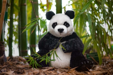Panda "Maya", sitzend 