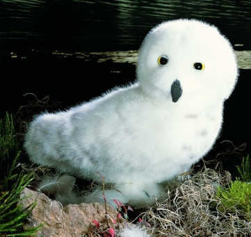 Snow Owl "Wanda" 