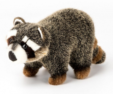 Racoon "Willi", small 