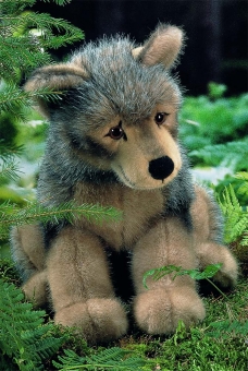 Wolf Puppy "Jurek", sitting 