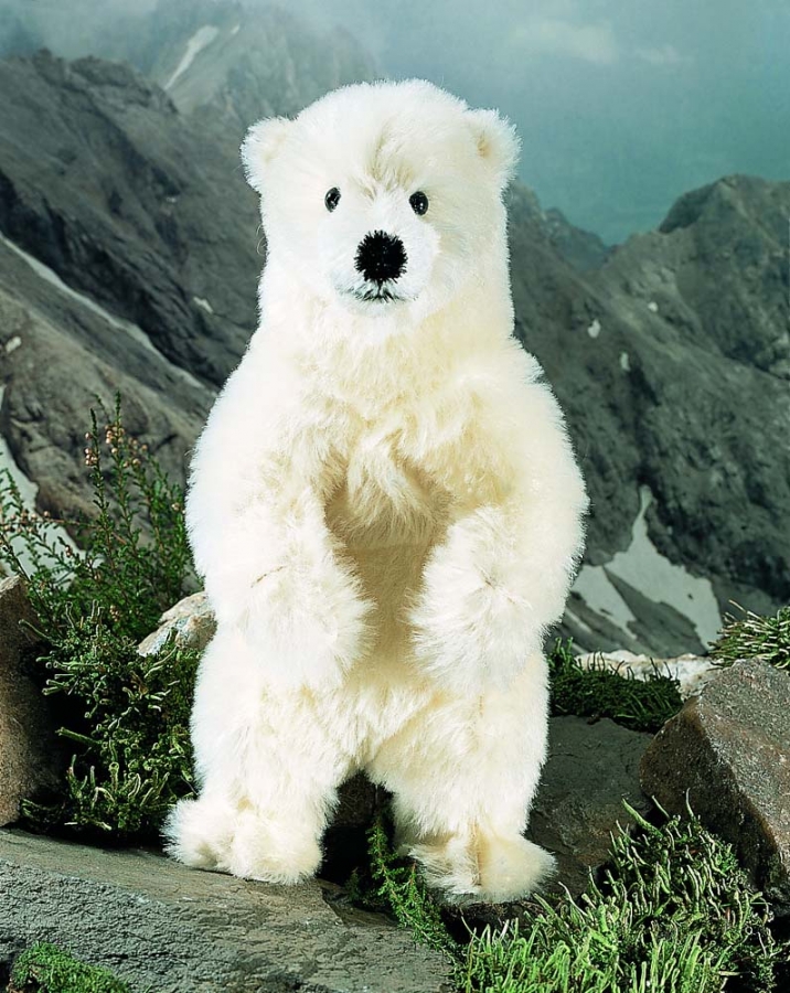 Polar Bear "Hudson" 
