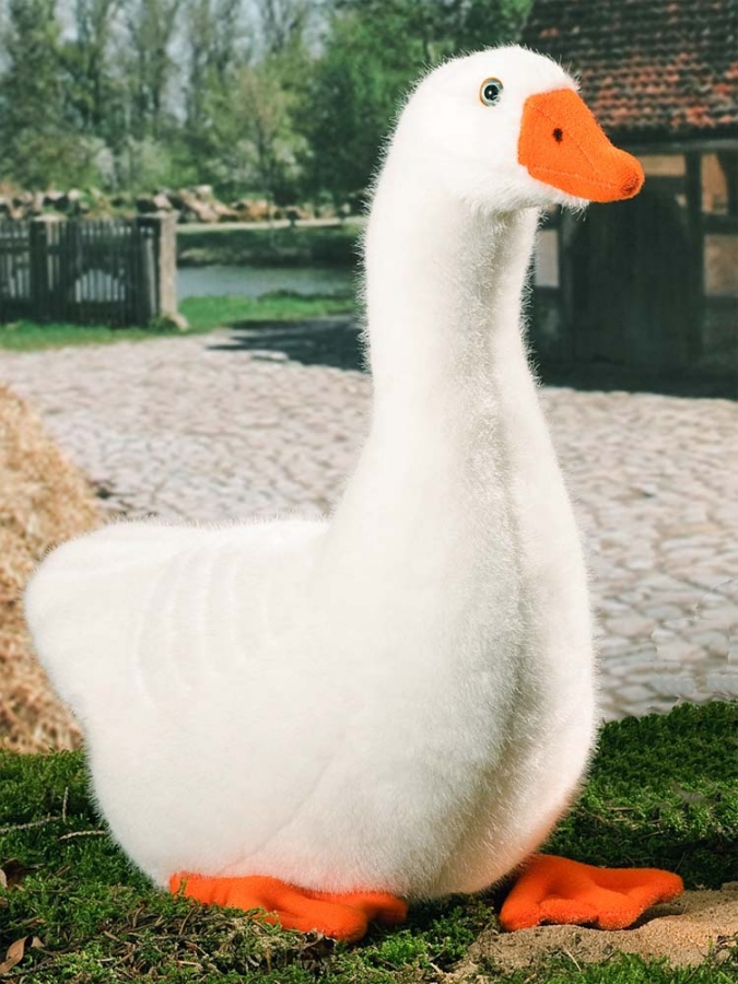 Goose, white 