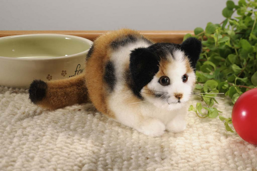 Tortoiseshell Cat, mini 