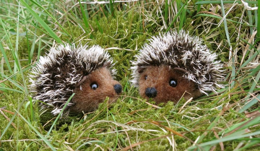 Mini-Hedgehog "Pieks" 