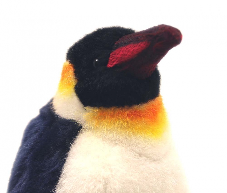 Emperor Penguin "Fidor" 