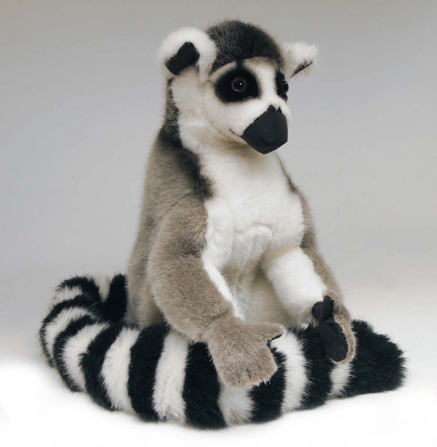 Ring-tailed lemur "Luis" 