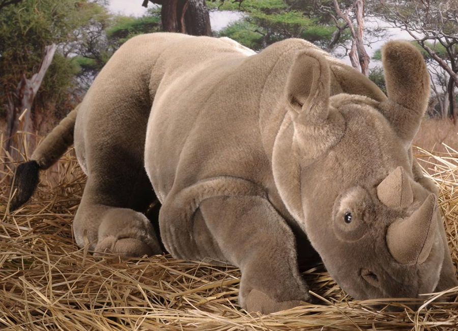 Rhinoceros, middle size, lying 