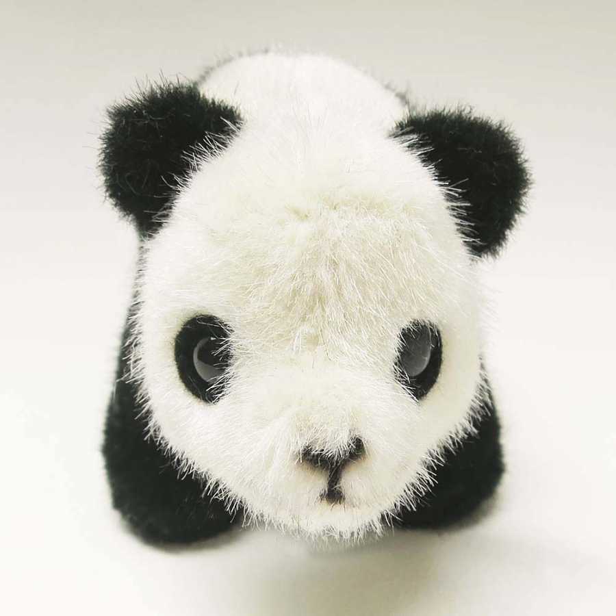 Panda-Baby 
