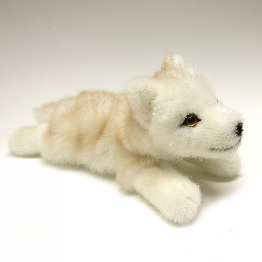 Arctic Wolf Puppy, lying 