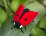 Ladybird "Two-Dot" 