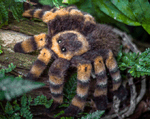 Mexican Redknee Tarantula "Aggi" 
